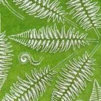 AK Interactive Dioramas: Fern AK Interactive
