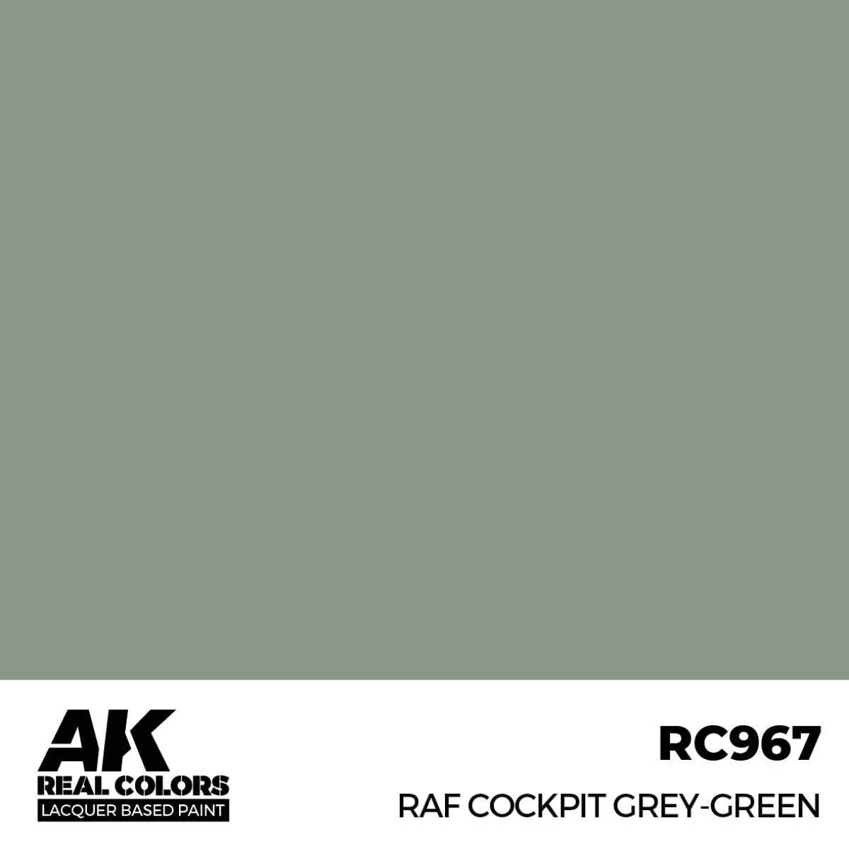 AK Interactive Real Colors: RAF Cockpit Grey-Green - 17ml Lacquer Paint AK Interactive