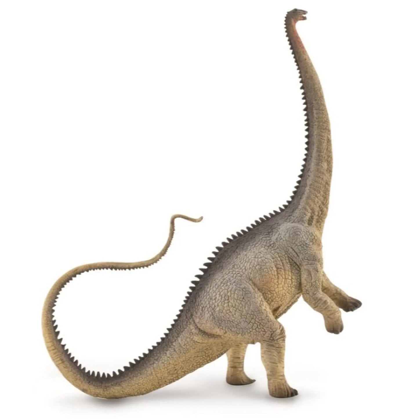 CollectA Diplodocus CollectA