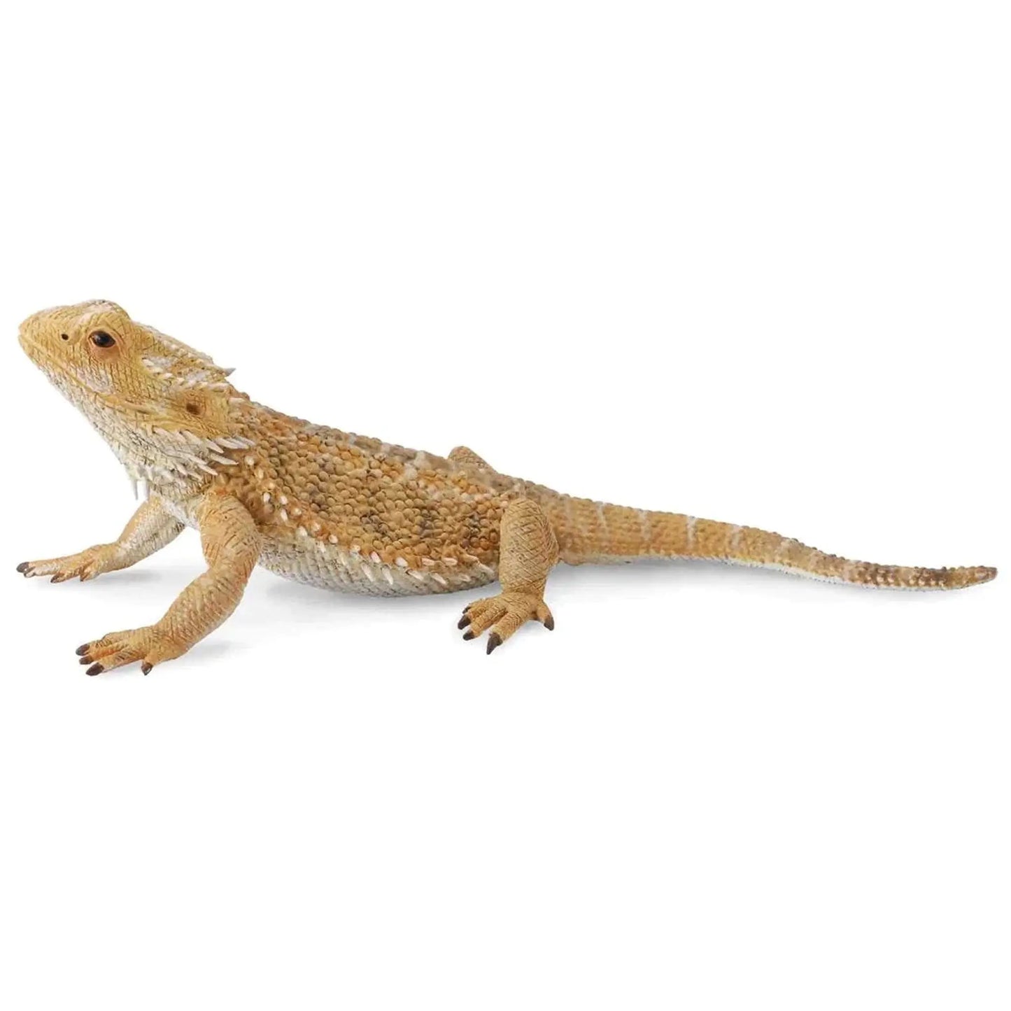 CollectA Dragon Lizard CollectA