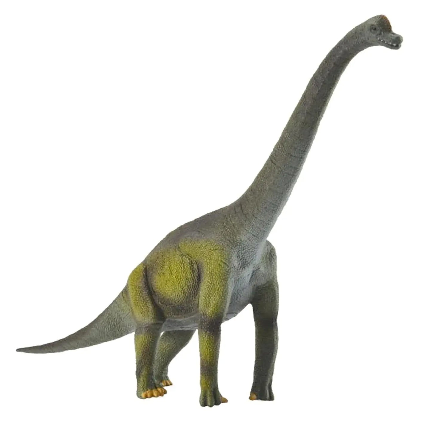 CollectA Brachiosaurus CollectA