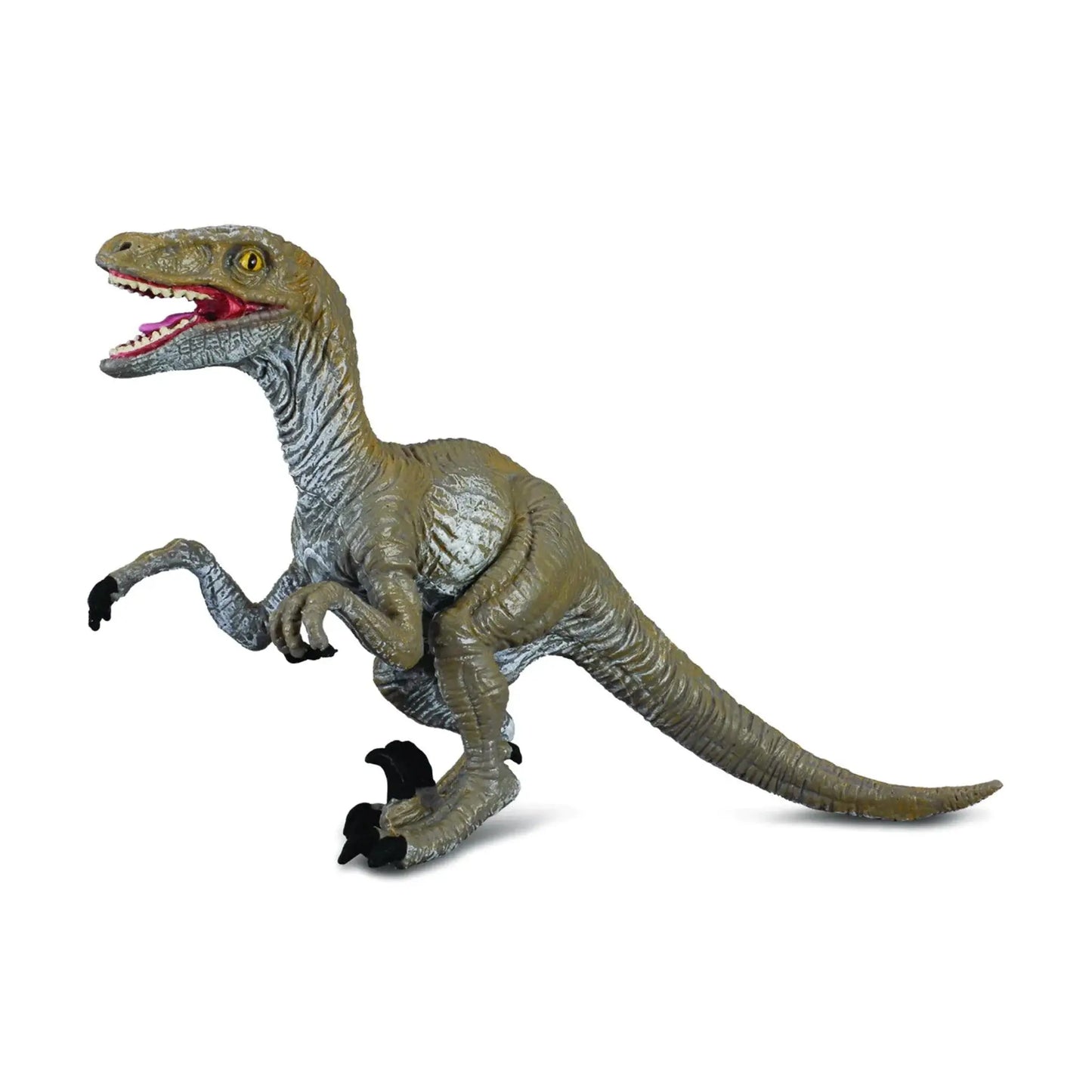 CollectA Velociraptor CollectA