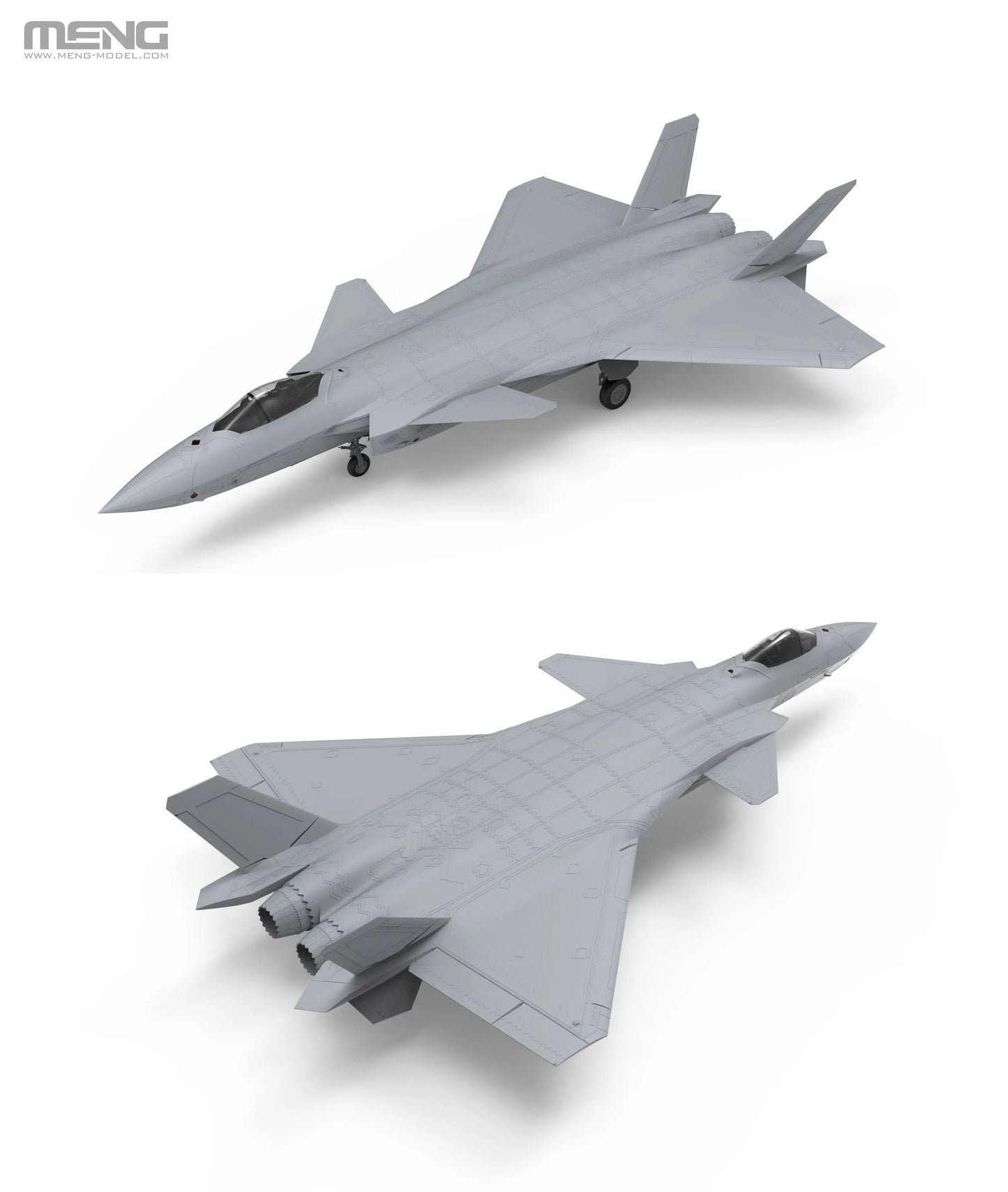 Meng 1/48 Chinese J-20 Stealth Fighter Plastic Model Kit Meng