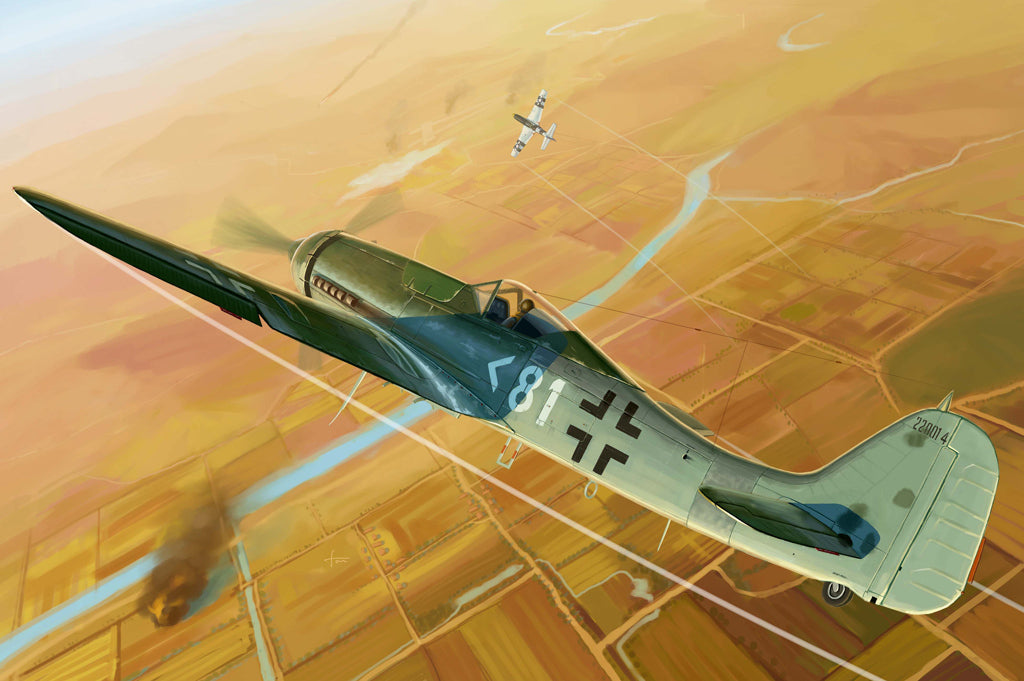 HobbyBoss 1/48 Focke-Wulf FW190D-11 Plastic Model Kit HobbyBoss