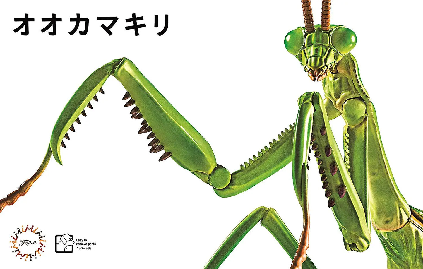 Fujimi Biology Edition Big Mantis [FI No.23] Plastic Model Kit Fujimi
