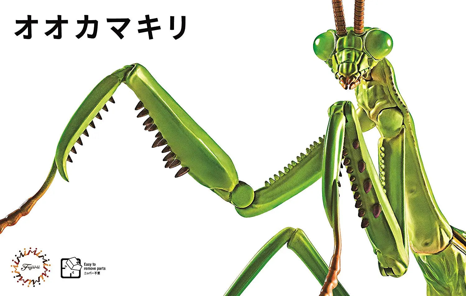 Fujimi Biology Edition Big Mantis [FI No.23] Plastic Model Kit Fujimi