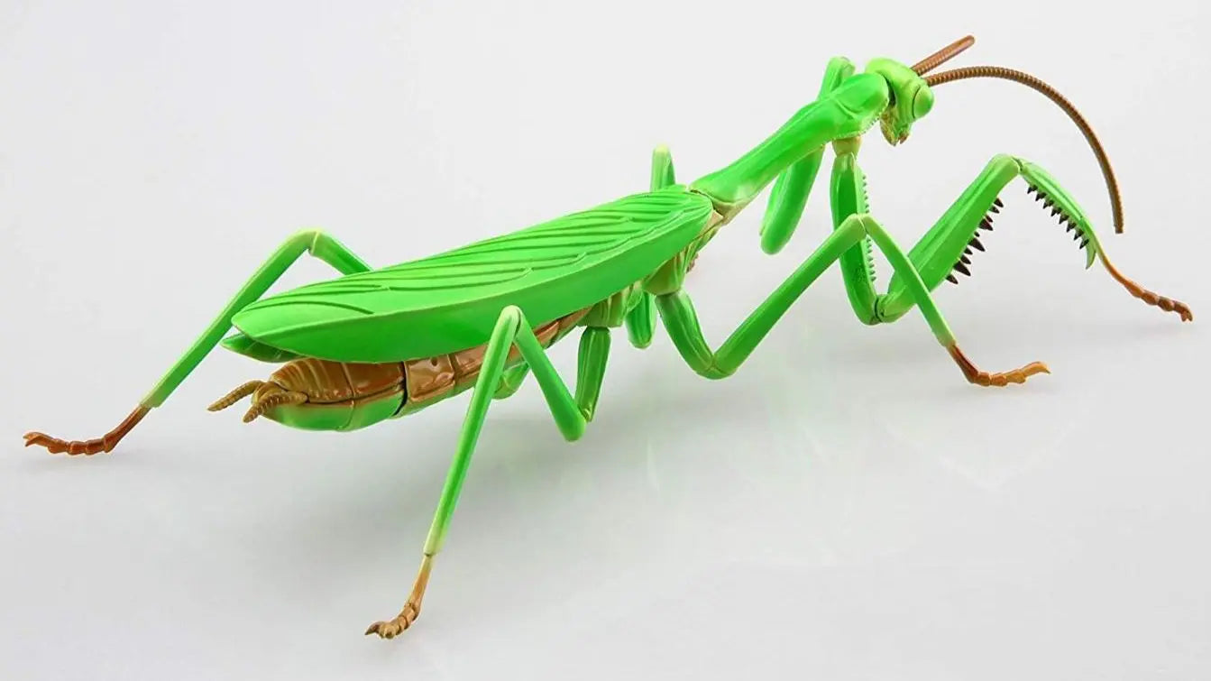 Fujimi Biology Edition Big Mantis [FI No.23] Plastic Model Kit Fujimi