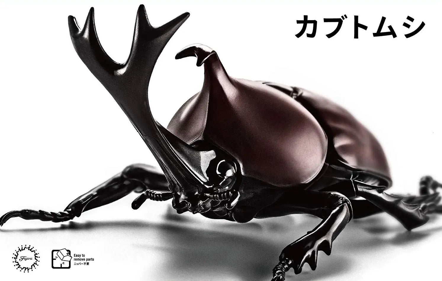 Fujimi Biology Edition Beetle [FI No.21] Plastic Model Kit Fujimi