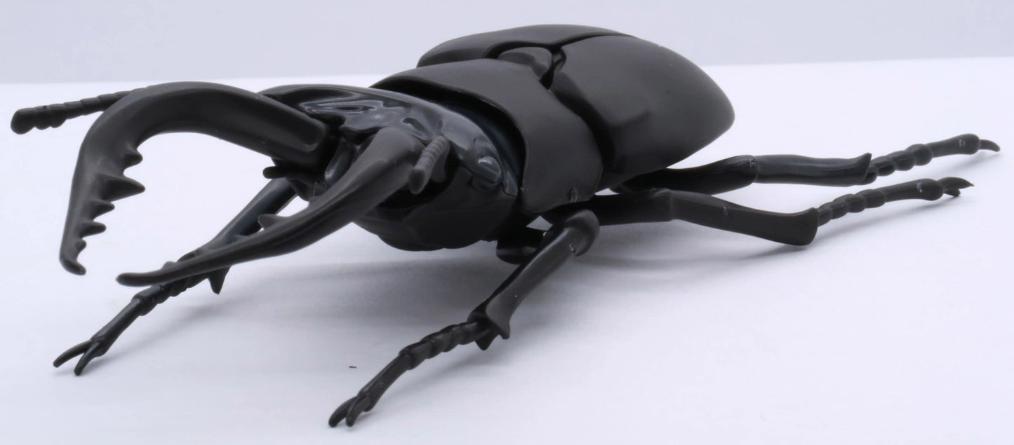 Fujimi Biology Edition Stag Beetle [FI No.22] Plastic Model Kit Fujimi