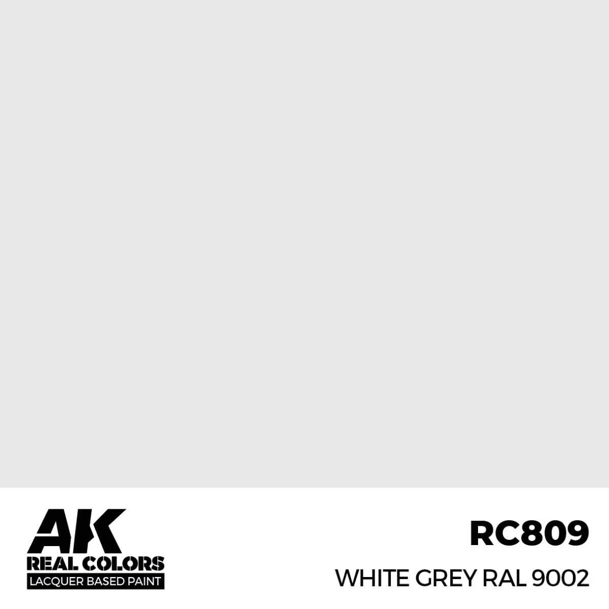 AK Interactive Real Colors: White Grey RAL 9002 - 17ml Lacquer Paint AK Interactive