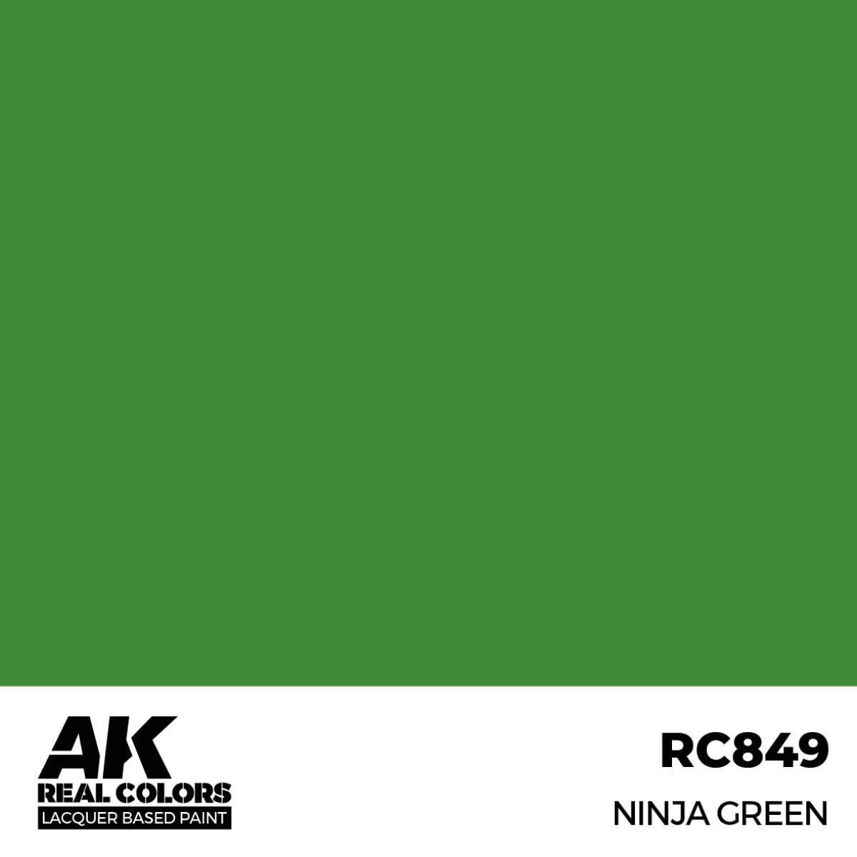 AK Interactive Real Colors: Ninja Green - 17ml Lacquer Paint AK Interactive