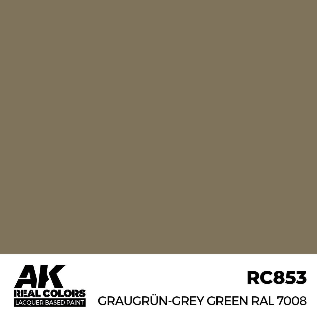 AK Interactive Real Colors: Graugrun-Grey Green RAL 7008 - 17ml Lacquer Paint AK Interactive