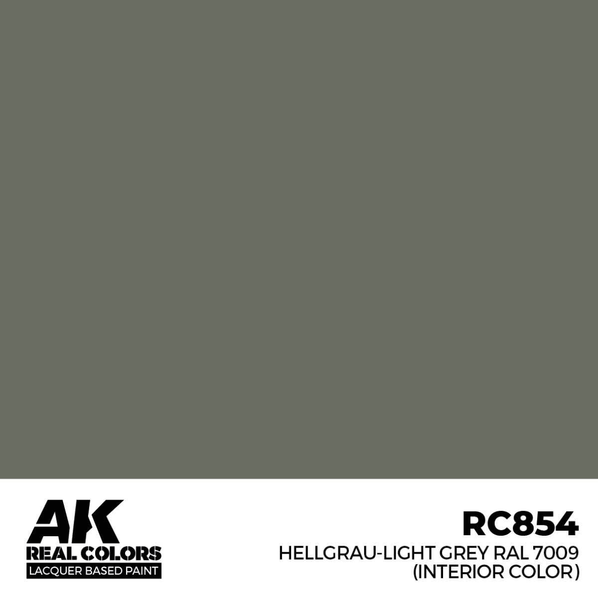 AK Interactive Real Colors: Hellgrau-Light Grey RAL 7009 (interior color) 17 m Lacquer Paint AK Interactive