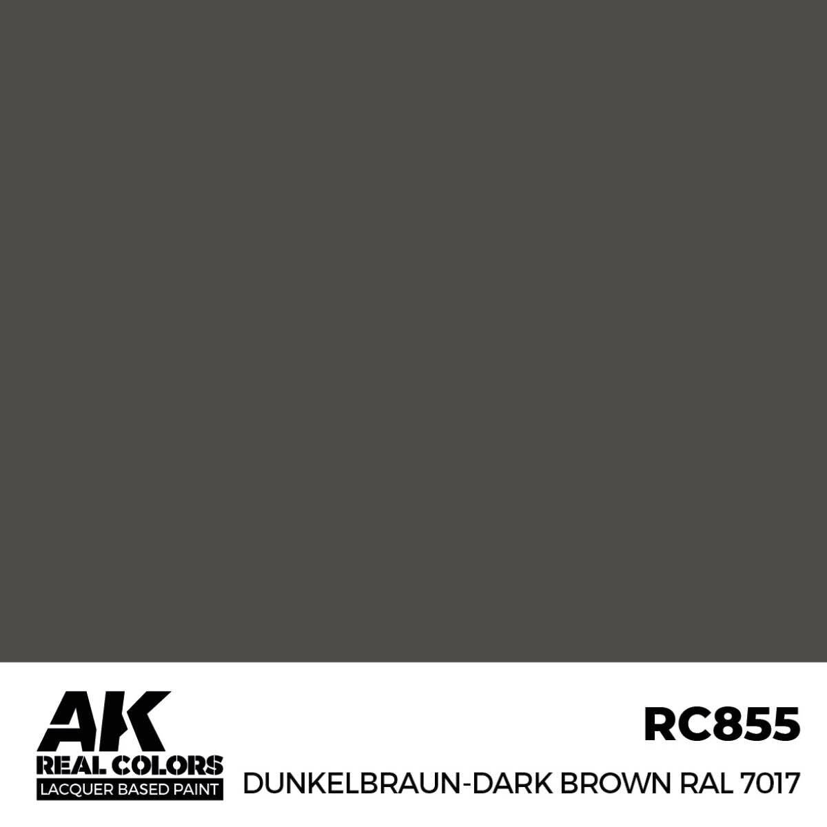 AK Interactive Real Colors: Dunkelbraun-Dark Brown RAL 7017 - 17ml ...