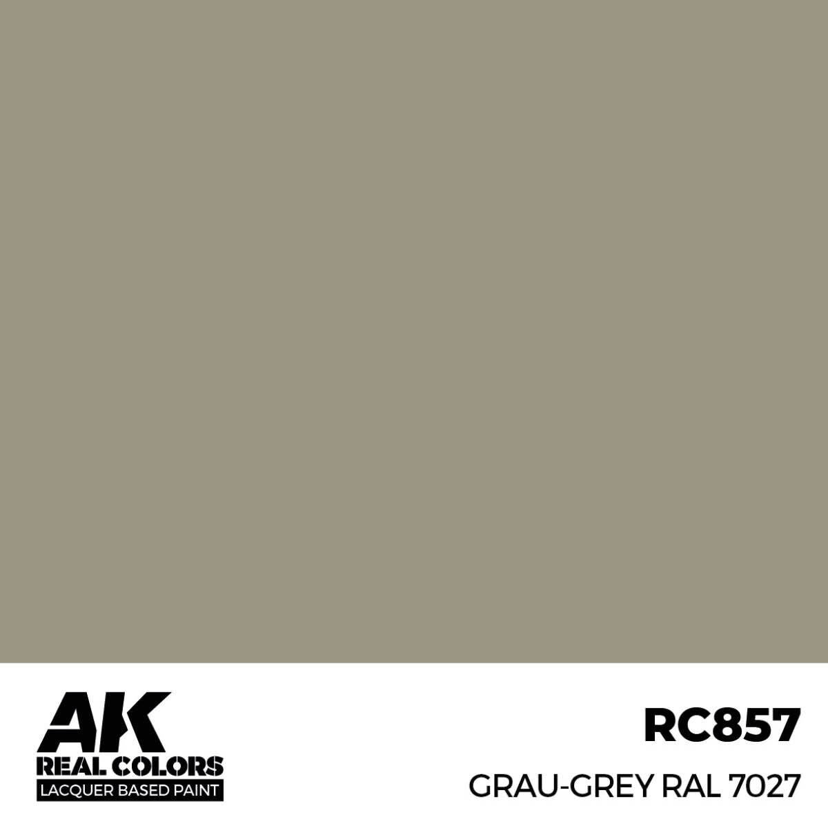 AK Interactive Real Colors: Grau-Grey RAL 7027 - 17ml Lacquer Paint AK Interactive