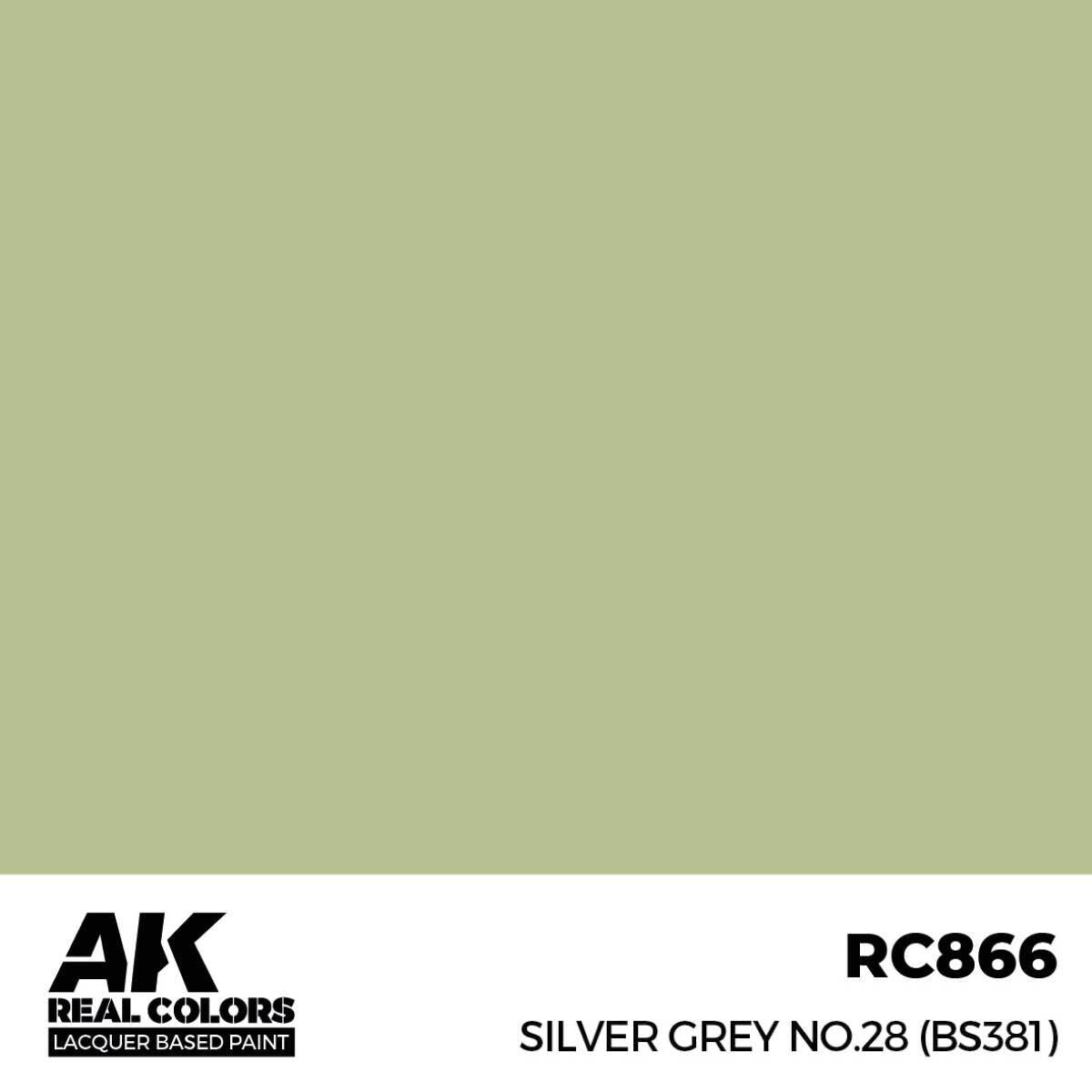 AK Interactive Real Colors: Silver Grey No.28 (BS381) - 17ml Lacquer Paint AK Interactive