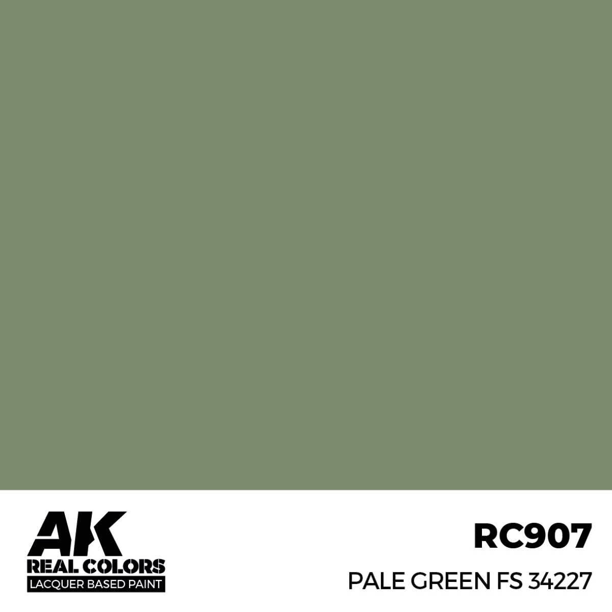AK Interactive Real Colors: Pale Green FS 34227 - 17ml Lacquer Paint AK Interactive