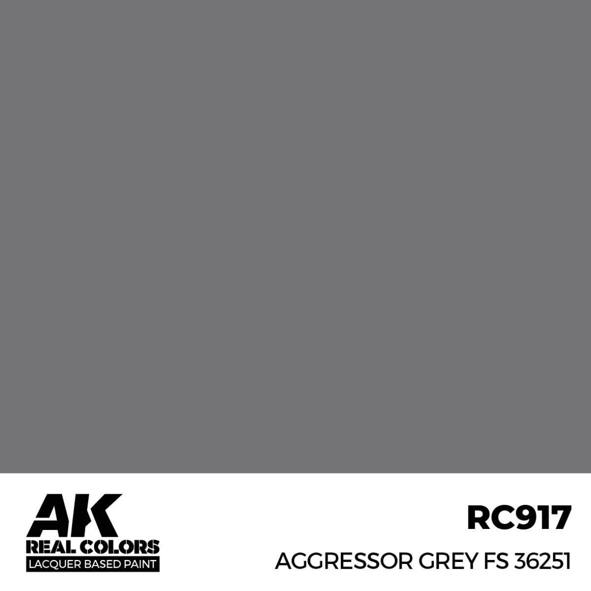 AK Interactive Real Colors: Aggressor Grey FS 36251 - 17ml Lacquer Paint AK Interactive