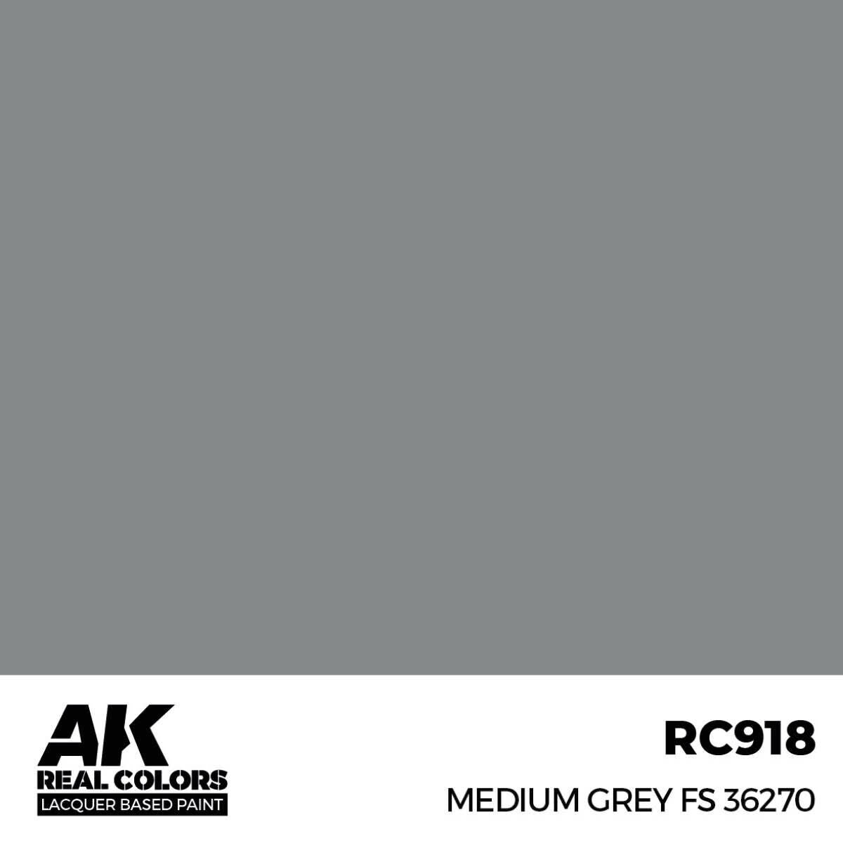 AK Interactive Real Colors: Medium Grey FS 36270 - 17ml Lacquer Paint AK Interactive
