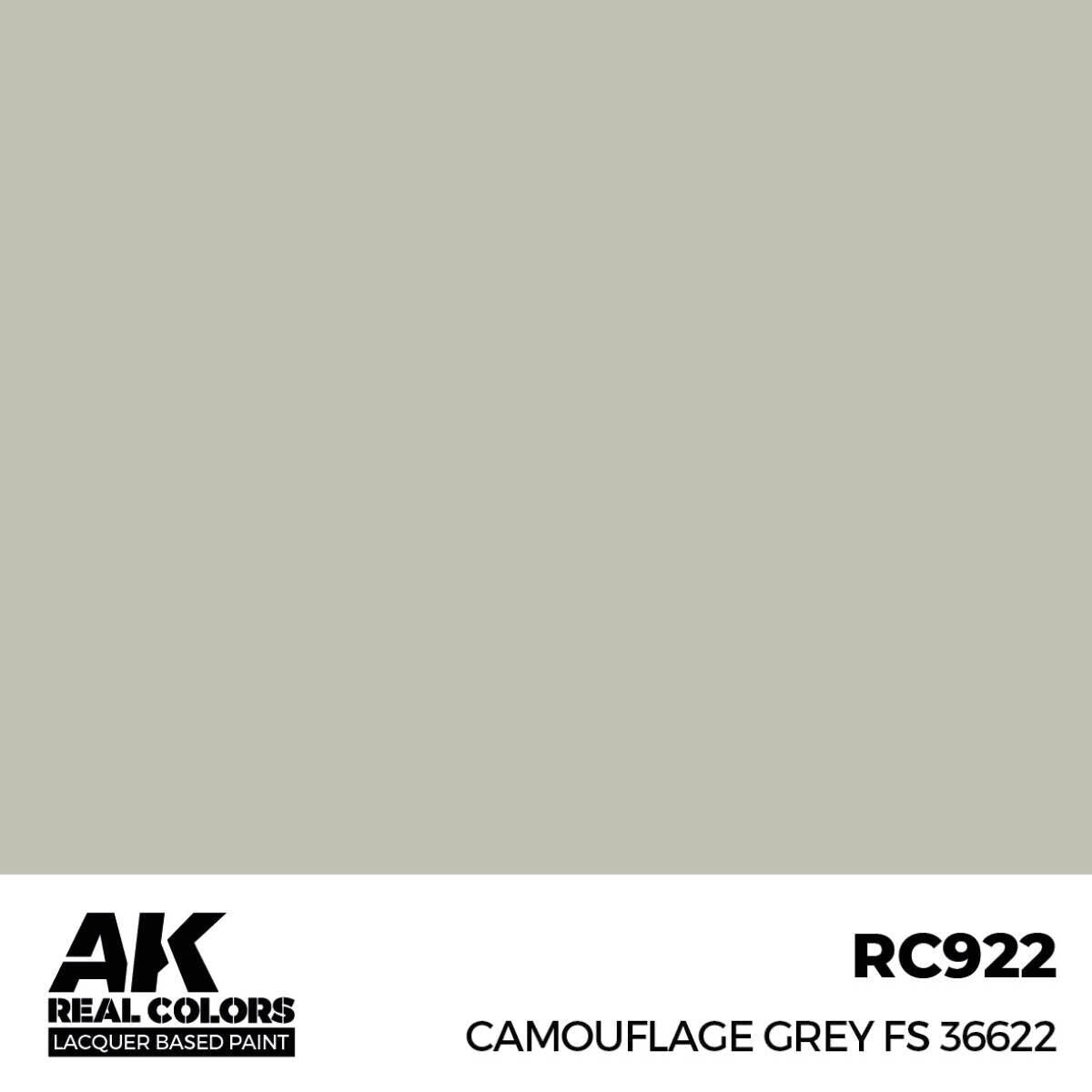 AK Interactive Real Colors: Camouflage Grey FS 36622 - 17ml Lacquer Paint AK Interactive