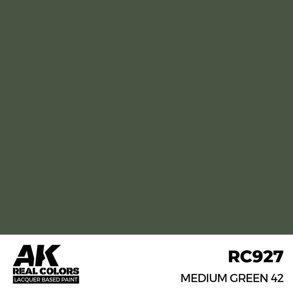 AK Interactive Real Colors: Medium Green 42 - 17ml Lacquer Paint AK Interactive