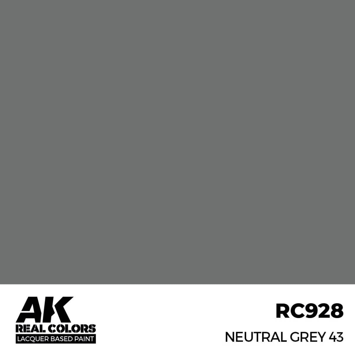 AK Interactive Real Colors: Neutral Grey 43 - 17ml Lacquer Paint AK Interactive