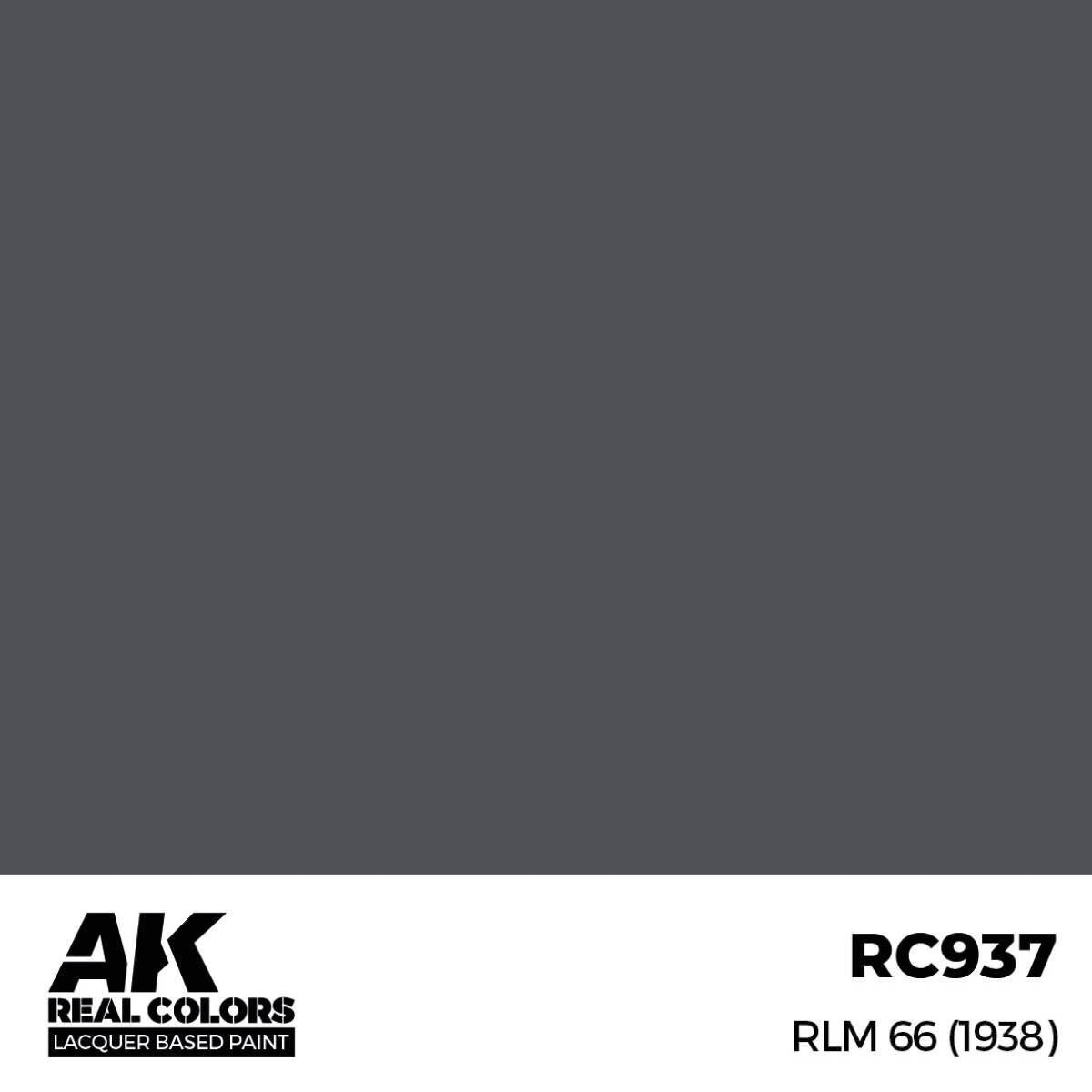 AK Interactive Real Colors: RLM 66 (1938) - 17ml Lacquer Paint AK Interactive