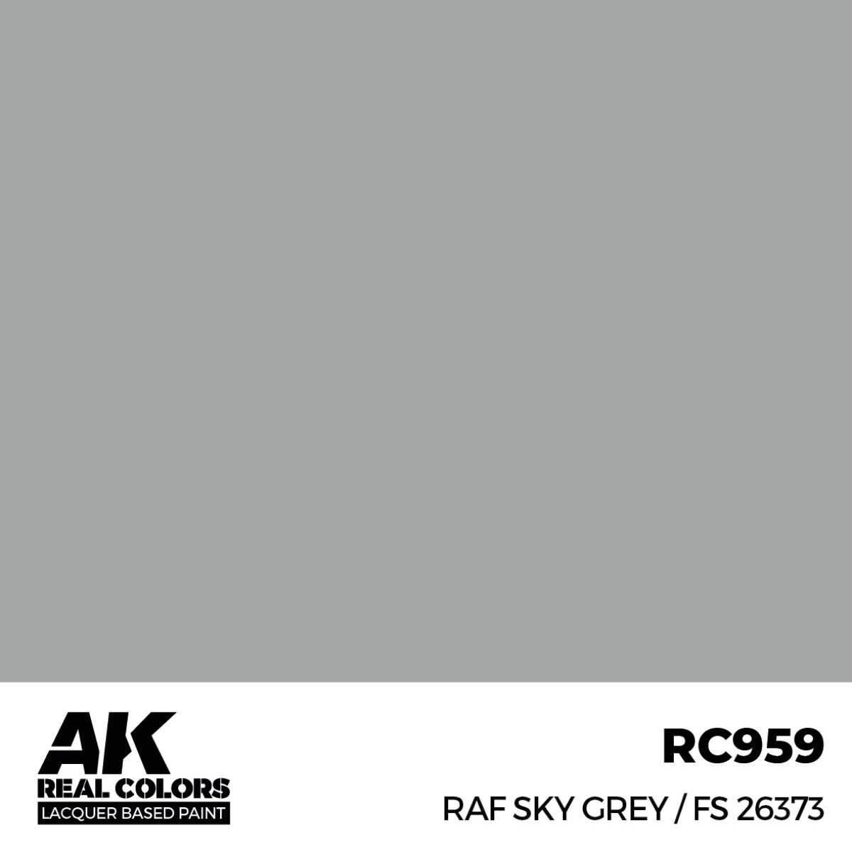 AK Interactive Real Colors: RAF Sky Grey / FS 26373 - 17ml Lacquer Paint AK Interactive