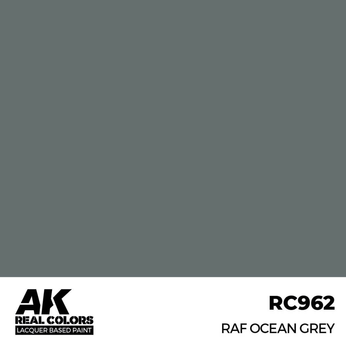 AK Interactive Real Colors: RAF Ocean Grey - 17ml Lacquer Paint AK Interactive