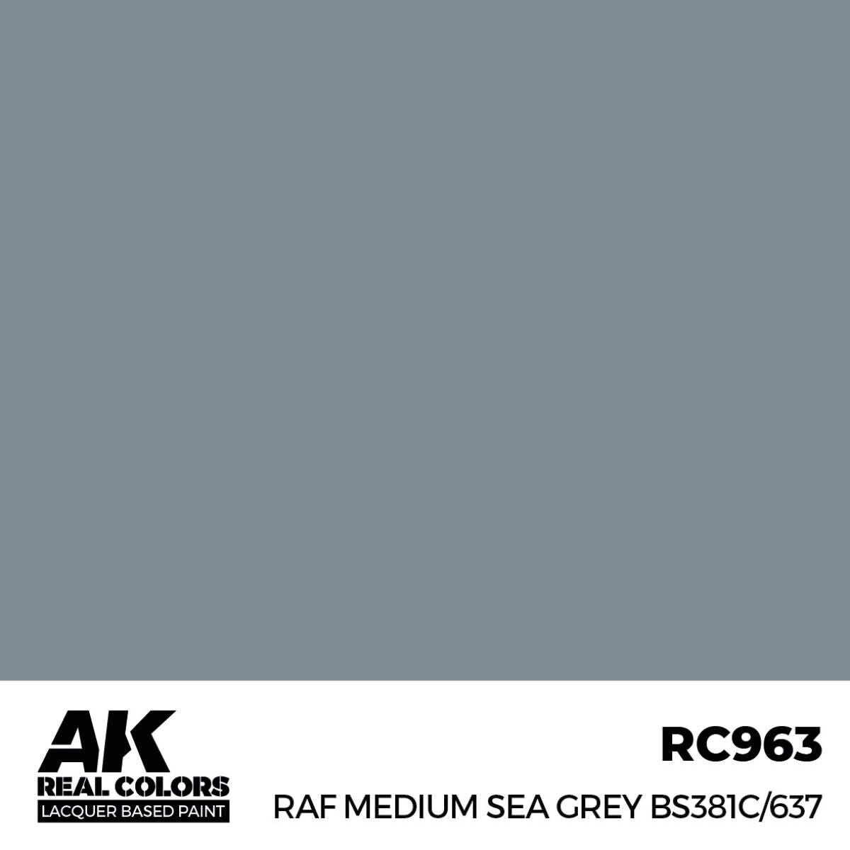 AK Interactive Real Colors: RAF Medium Sea Grey BS381C/637 - 17ml Lacquer Paint AK Interactive