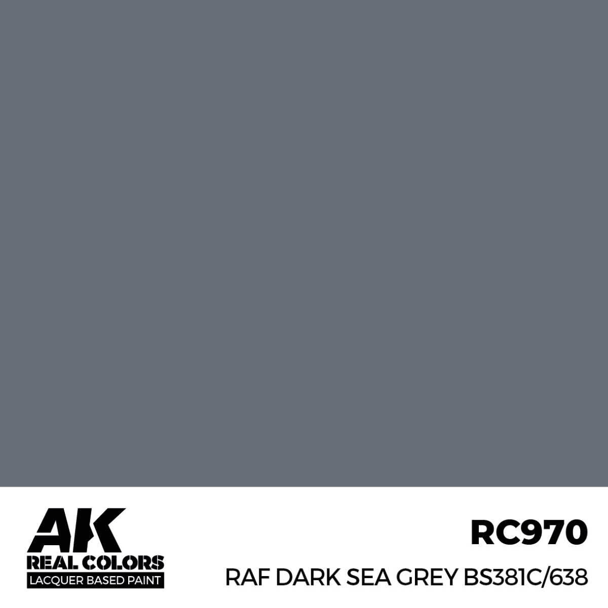 AK Interactive Real Colors: RAF Dark Sea Grey BS381C/638 - 17ml Lacquer Paint AK Interactive