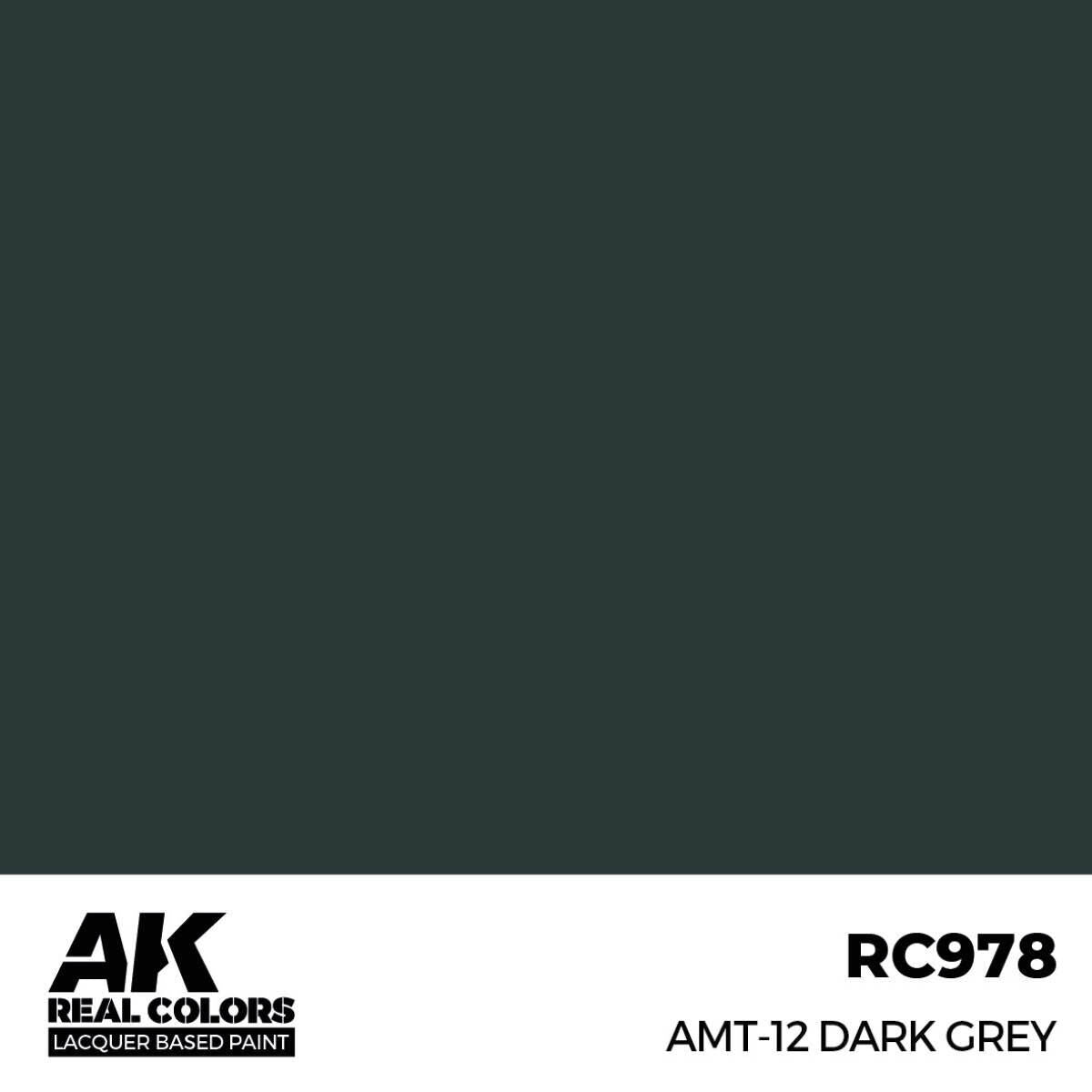 AK Interactive Real Colors: AMT-12 Dark Grey - 17ml Lacquer Paint AK Interactive