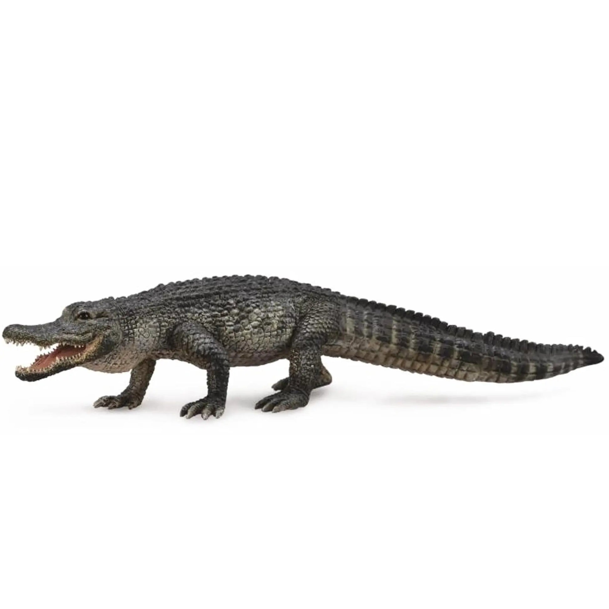 CollectA American Alligator CollectA