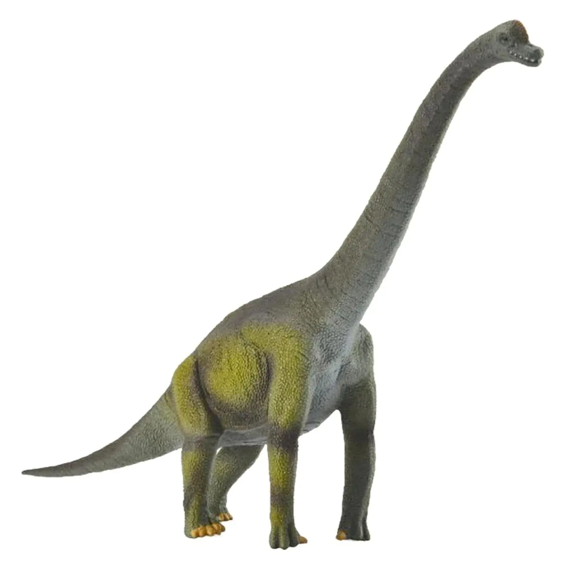 CollectA Brachiosaurus CollectA