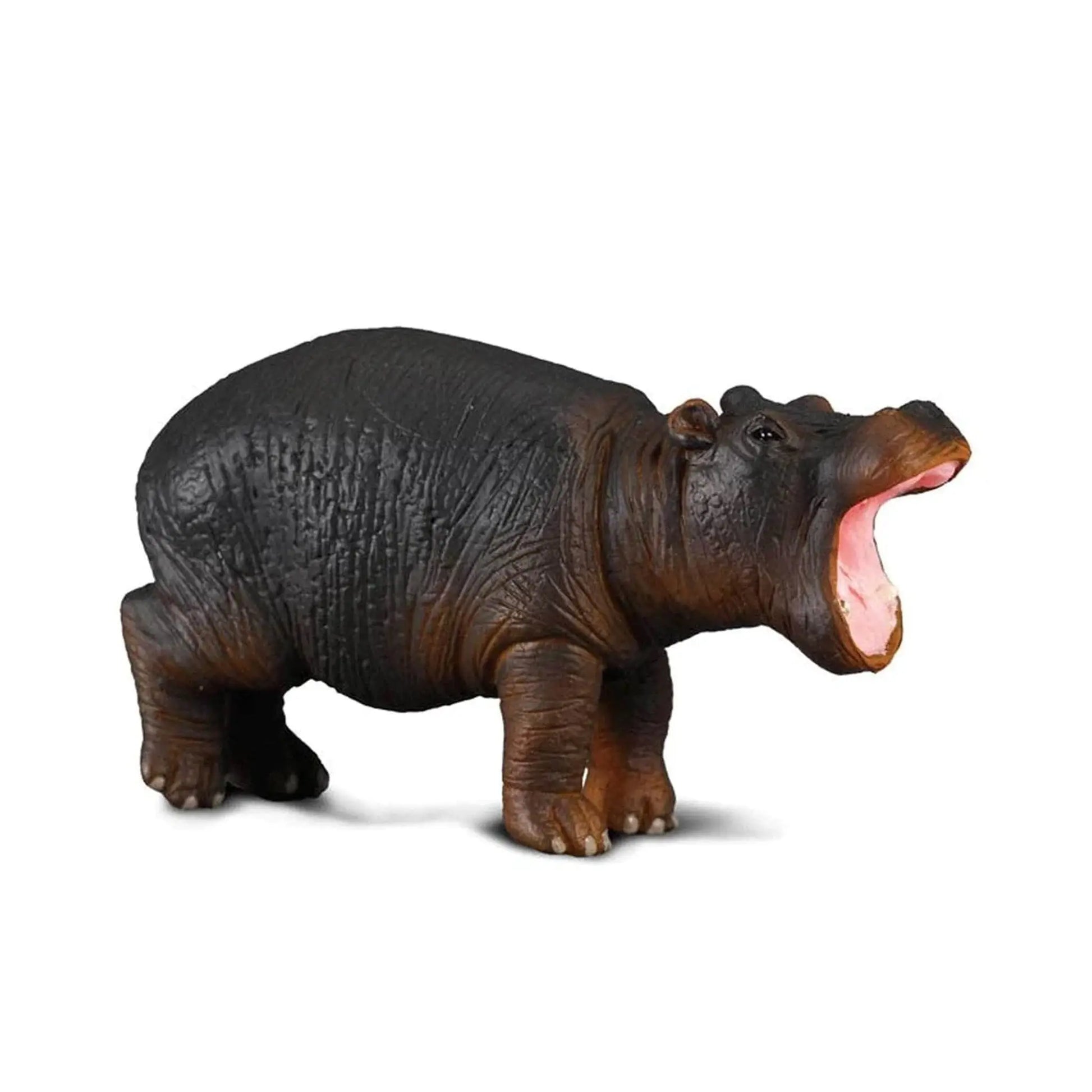 CollectA Hippopotamus Calf CollectA