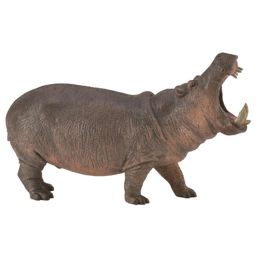 CollectA Hippopotamus