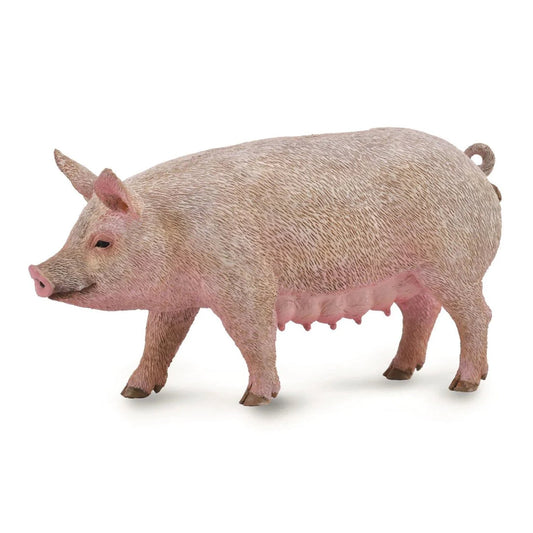 CollectA Sow