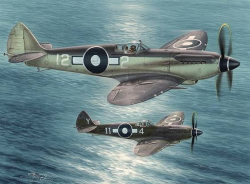 Special Hobby 1/48 Seafire Mk.XV "Far East Service" Plastic Model Kit Special Hobby