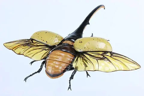 Fujimi Biology Edition Dynastes Hercules [FI No.26] Plastic Model Kit Fujimi