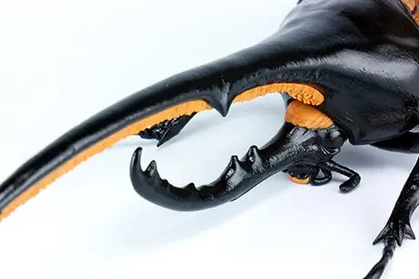 Fujimi Biology Edition Dynastes Hercules [FI No.26] Plastic Model Kit Fujimi