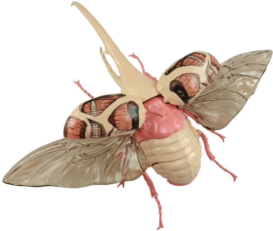 Fujimi Attack on Titan Ver. Hercules Beetle Colossus Titan [FI No.262] Plastic Model Kit Fujimi