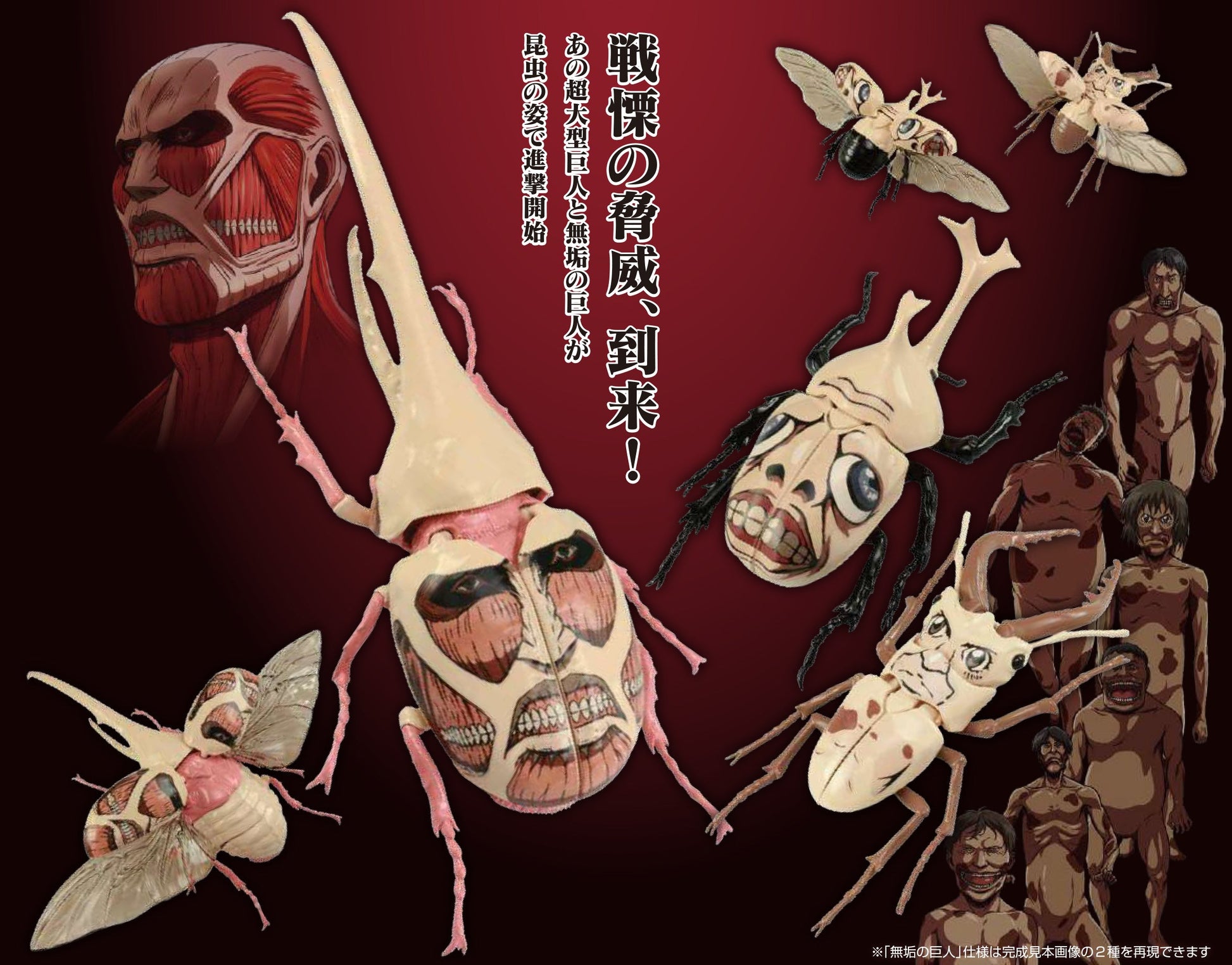 Fujimi Attack on Titan Ver. Beetle & Stag Beetle Pure Titans [FI No.256] Plastic Model Kit Fujimi