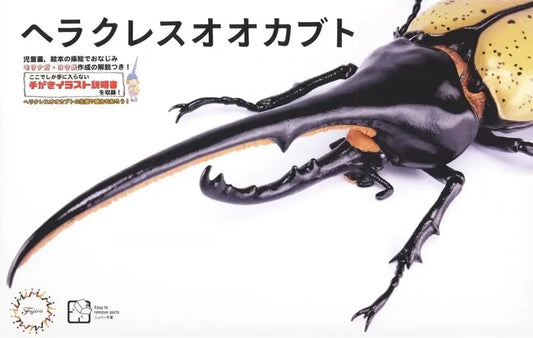 Fujimi Biology Edition Dynastes Hercules You Morinaga Explanatory notes and Instructions ver.  Plastic Model Kit Fujimi