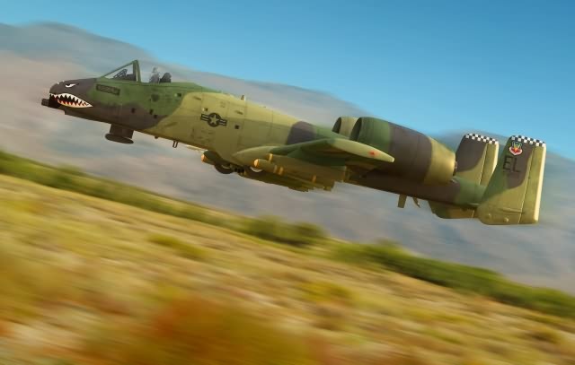 HobbyBoss 1/48 A-10A "THUNDERBOLT" II Plastic Model Kit HobbyBoss