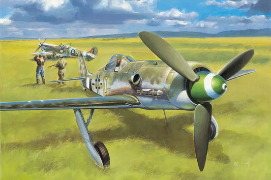 HobbyBoss 1/48 Focke-Wulf FW190D-13 Plastic Model Kit HobbyBoss