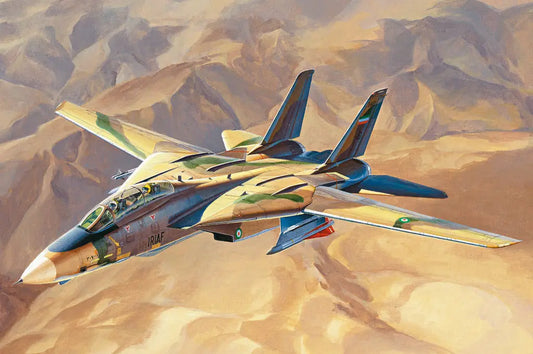 HobbyBoss 1/48 “Persian Cat” F-14A TomCat - IRIAF Plastic Model Kit HobbyBoss